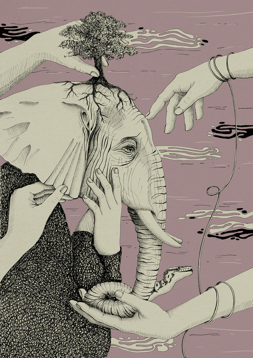 Parabola elefante